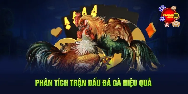 Phân tích trận đấu đá gà hiệu quả VUABAI88