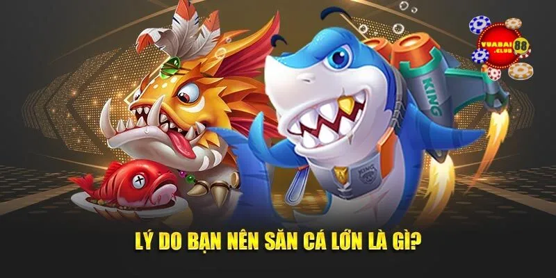 Lý do bạn nên săn cá lớn là gì?