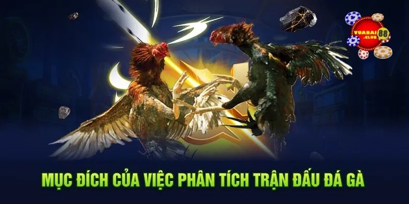 Mục đích của việc phân tích trận đấu đá gà