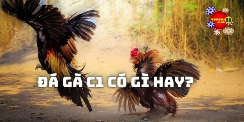 Những ưu điểm khi theo dõi những màn đối đầu trong giải đá gà C1