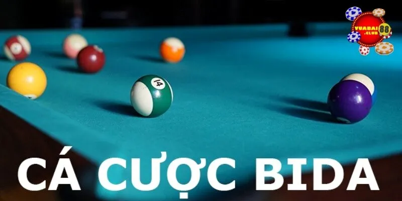 Luật cá độ kèo bida mới nhất 2024