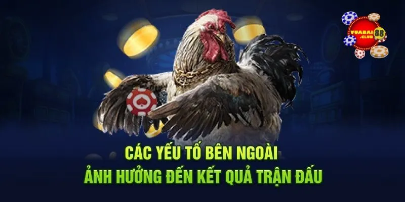 Yếu tố bên ngoài ảnh hưởng đến kết quả