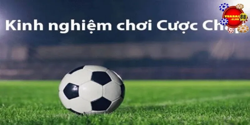 Kinh nghiệm đặt cược kèo Châu Á từ chuyên gia