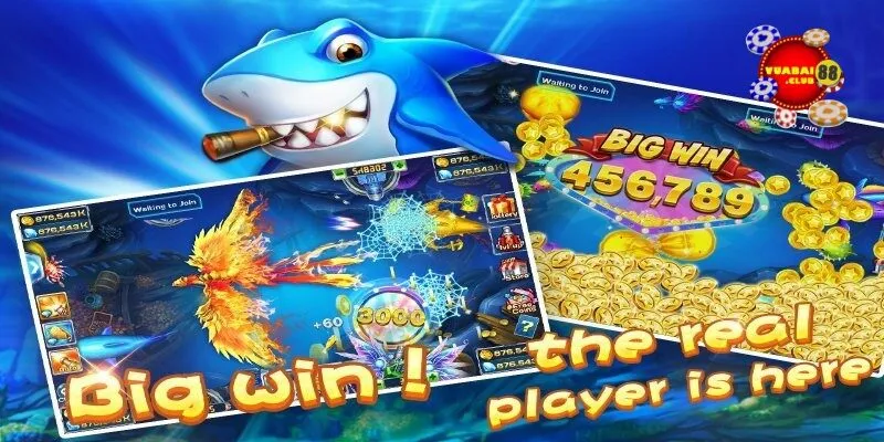 Tham gia chơi ngày để xác nhận lại thông tin từ chúng tôi