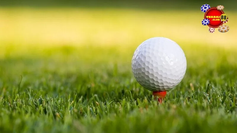 Tìm hiểu về cá cược Golf