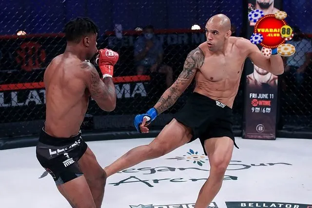 MMA (Mixed Martial Arts) – hay còn gọi là võ thuật tổng hợp