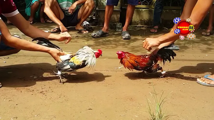 Điều khoản chung với hội viên nhận ưu đãi tại Vuabai88